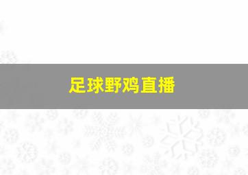 足球野鸡直播