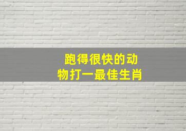 跑得很快的动物打一最佳生肖