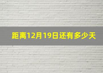 距离12月19日还有多少天