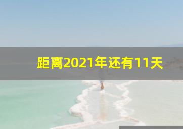 距离2021年还有11天