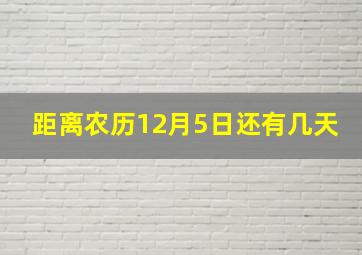 距离农历12月5日还有几天