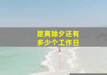 距离除夕还有多少个工作日