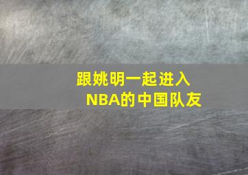 跟姚明一起进入NBA的中国队友