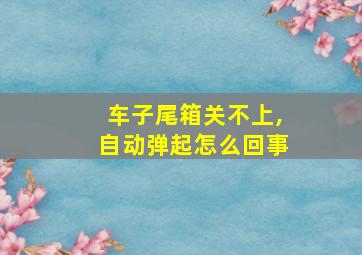 车子尾箱关不上,自动弹起怎么回事