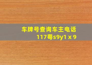 车牌号查询车主电话117粤s9y1ⅹ9