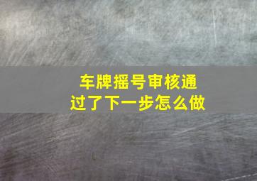 车牌摇号审核通过了下一步怎么做