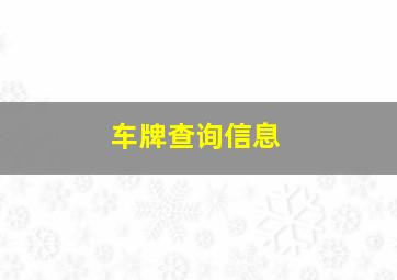 车牌查询信息