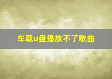 车载u盘播放不了歌曲