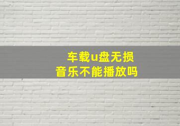 车载u盘无损音乐不能播放吗