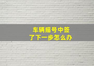 车辆摇号中签了下一步怎么办