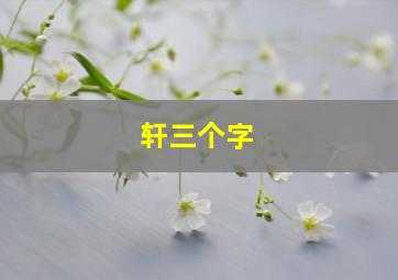 轩三个字