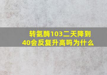 转氨酶103二天降到40会反复升高吗为什么