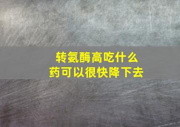 转氨酶高吃什么药可以很快降下去