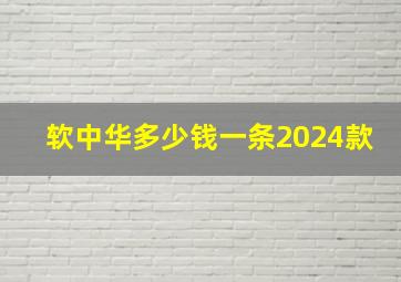 软中华多少钱一条2024款