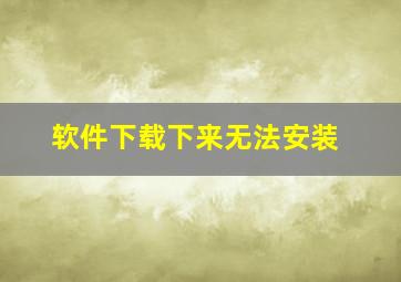 软件下载下来无法安装