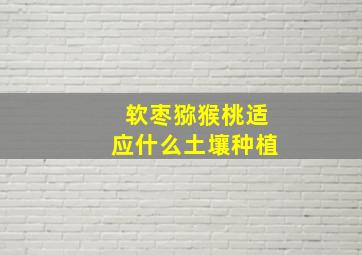 软枣猕猴桃适应什么土壤种植