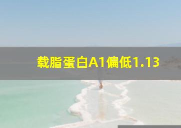 载脂蛋白A1偏低1.13