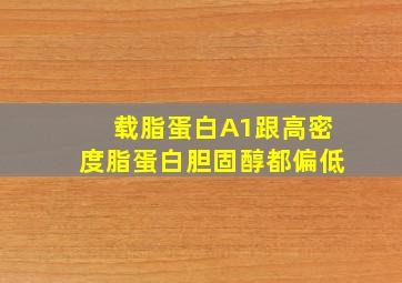 载脂蛋白A1跟高密度脂蛋白胆固醇都偏低