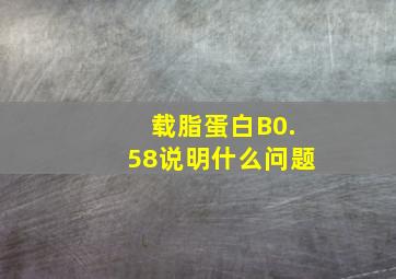 载脂蛋白B0.58说明什么问题