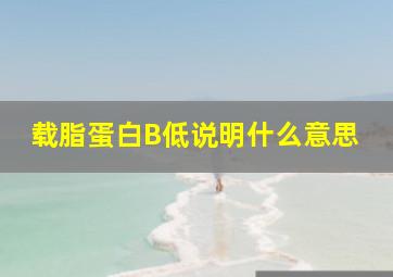 载脂蛋白B低说明什么意思