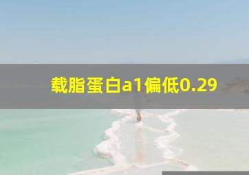 载脂蛋白a1偏低0.29