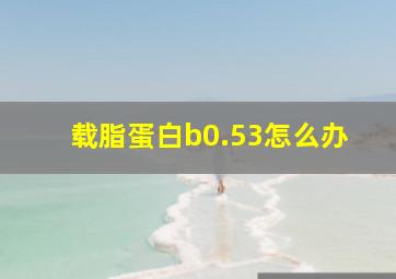 载脂蛋白b0.53怎么办