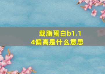 载脂蛋白b1.14偏高是什么意思