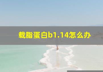 载脂蛋白b1.14怎么办