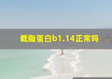 载脂蛋白b1.14正常吗