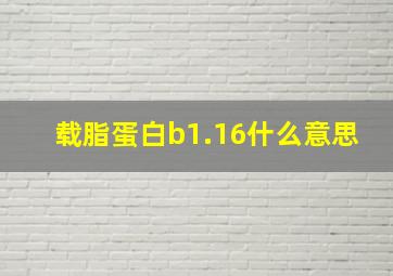 载脂蛋白b1.16什么意思