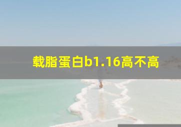 载脂蛋白b1.16高不高