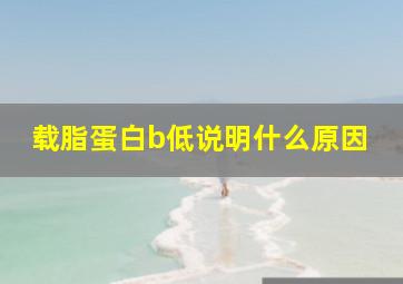 载脂蛋白b低说明什么原因