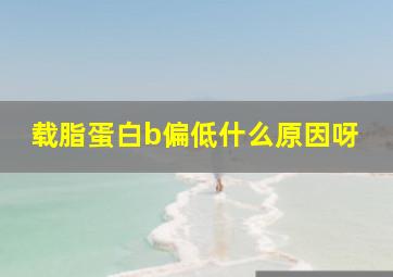 载脂蛋白b偏低什么原因呀