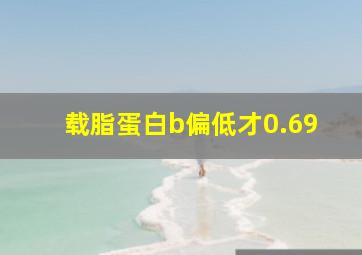 载脂蛋白b偏低才0.69