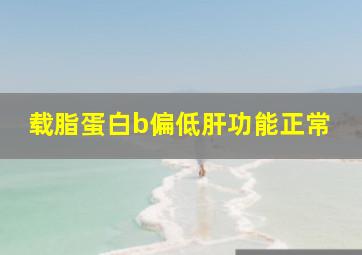 载脂蛋白b偏低肝功能正常