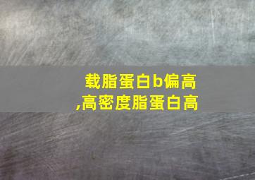 载脂蛋白b偏高,高密度脂蛋白高