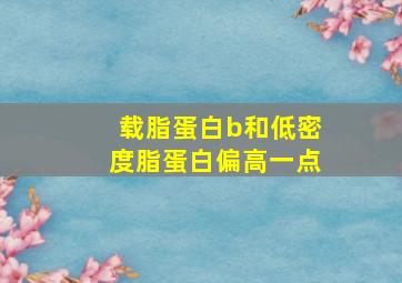 载脂蛋白b和低密度脂蛋白偏高一点