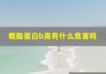 载脂蛋白b高有什么危害吗