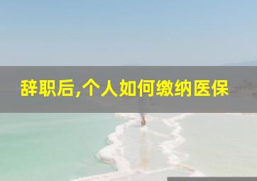 辞职后,个人如何缴纳医保