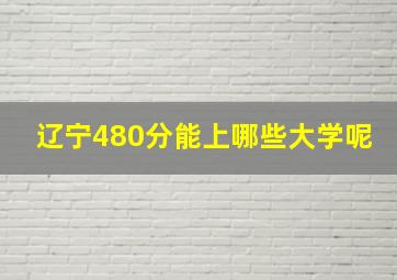 辽宁480分能上哪些大学呢