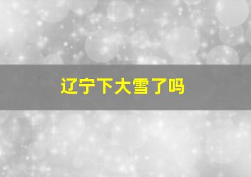 辽宁下大雪了吗