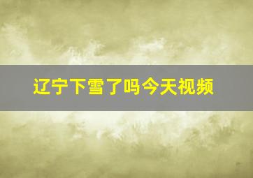 辽宁下雪了吗今天视频