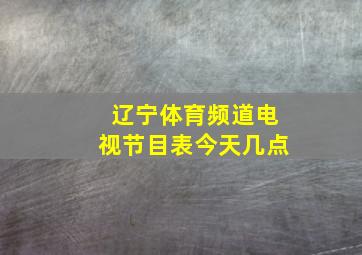 辽宁体育频道电视节目表今天几点