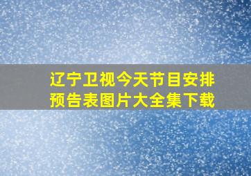 辽宁卫视今天节目安排预告表图片大全集下载