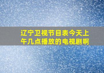 辽宁卫视节目表今天上午几点播放的电视剧啊