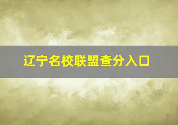 辽宁名校联盟查分入口