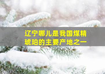 辽宁哪儿是我国煤精琥珀的主要产地之一