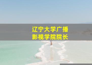 辽宁大学广播影视学院院长