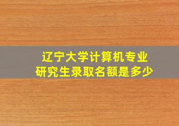 辽宁大学计算机专业研究生录取名额是多少