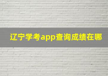 辽宁学考app查询成绩在哪